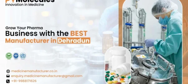 Best Manufacturer in Dehradun - PV Molecules